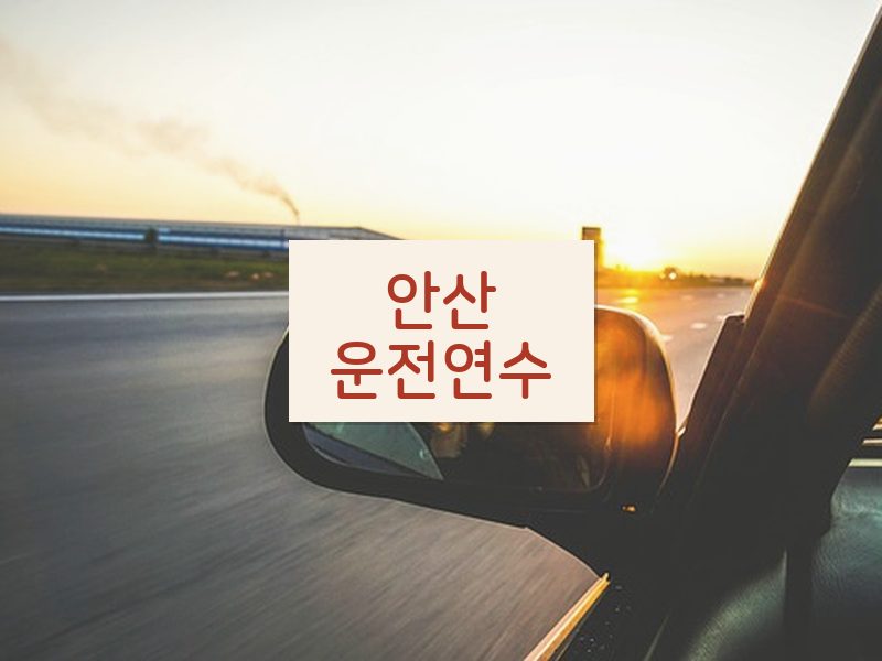 안산운전연수 후기
