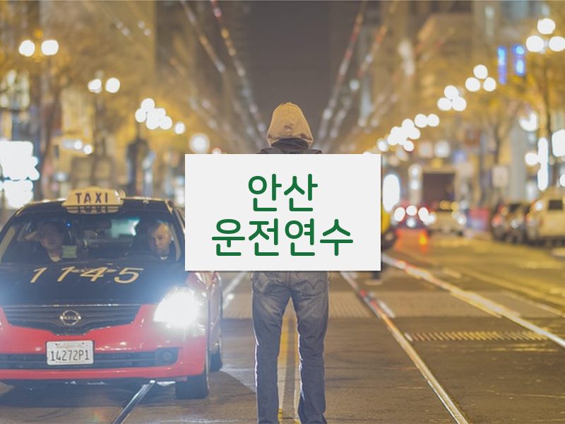 안산운전연수 후기