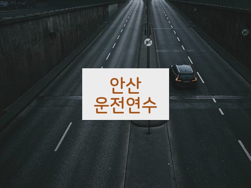 안산운전연수 후기