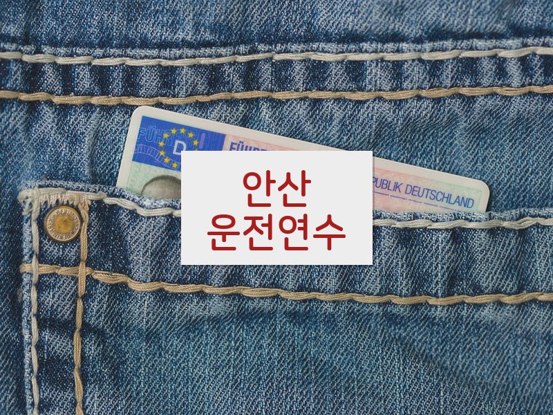 안산운전연수 후기