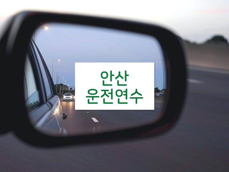 안산운전연수 후기