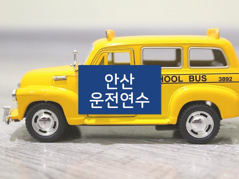 안산운전연수 후기