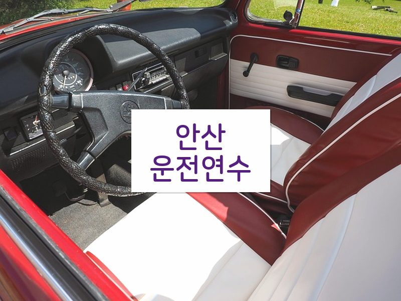 안산운전연수 후기