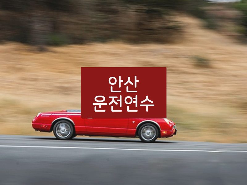 안산운전연수 후기