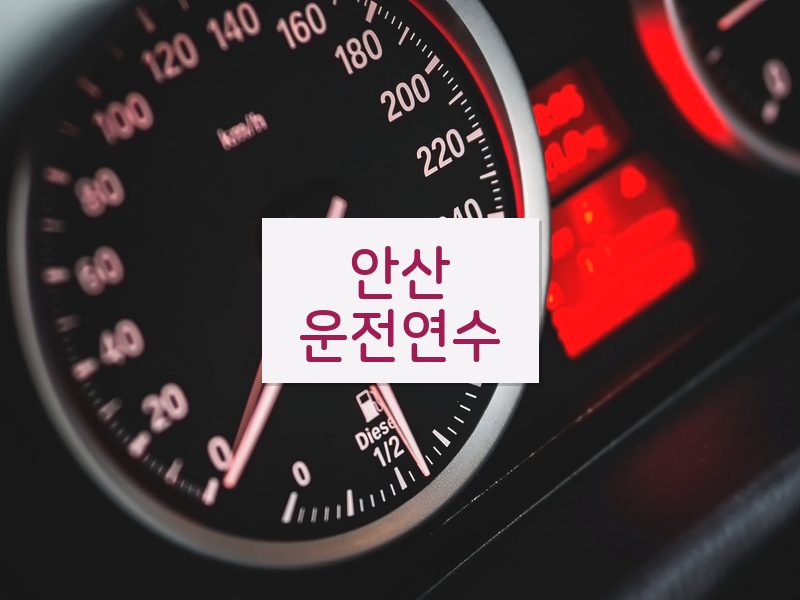 안산운전연수 후기