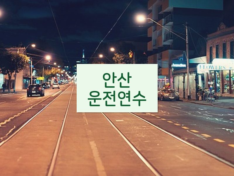 안산운전연수 후기
