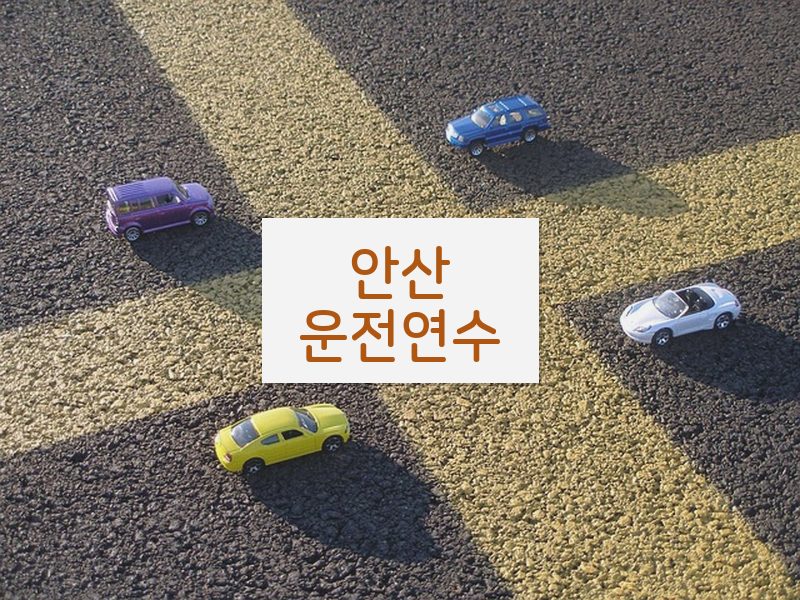 안산운전연수 후기