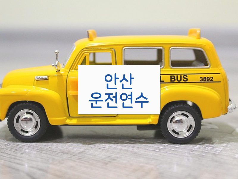 안산운전연수 후기