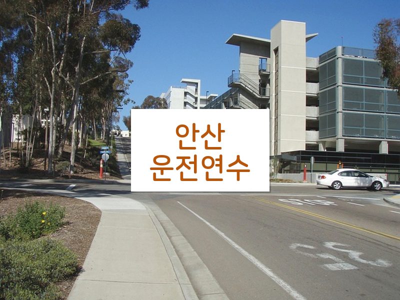 안산운전연수 후기