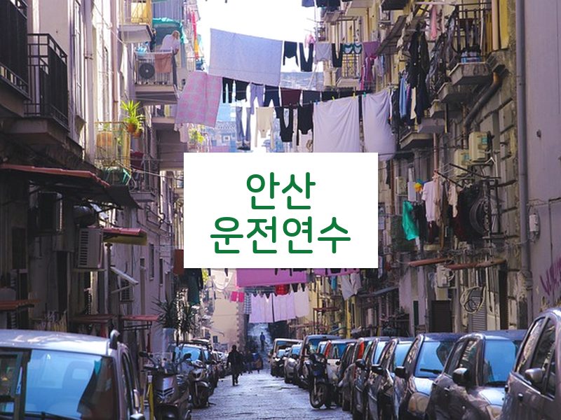 안산운전연수 후기