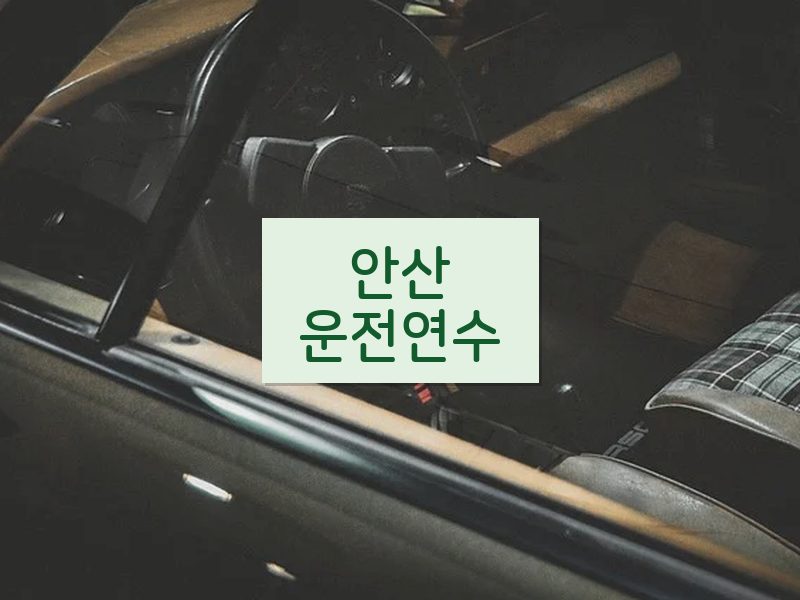 안산운전연수 후기