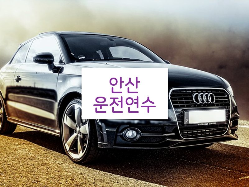안산운전연수 후기