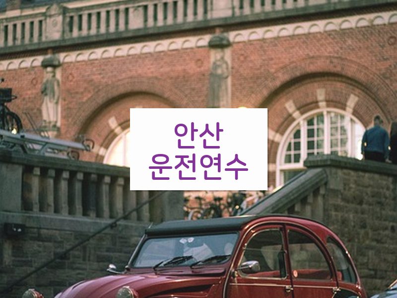 안산운전연수 후기