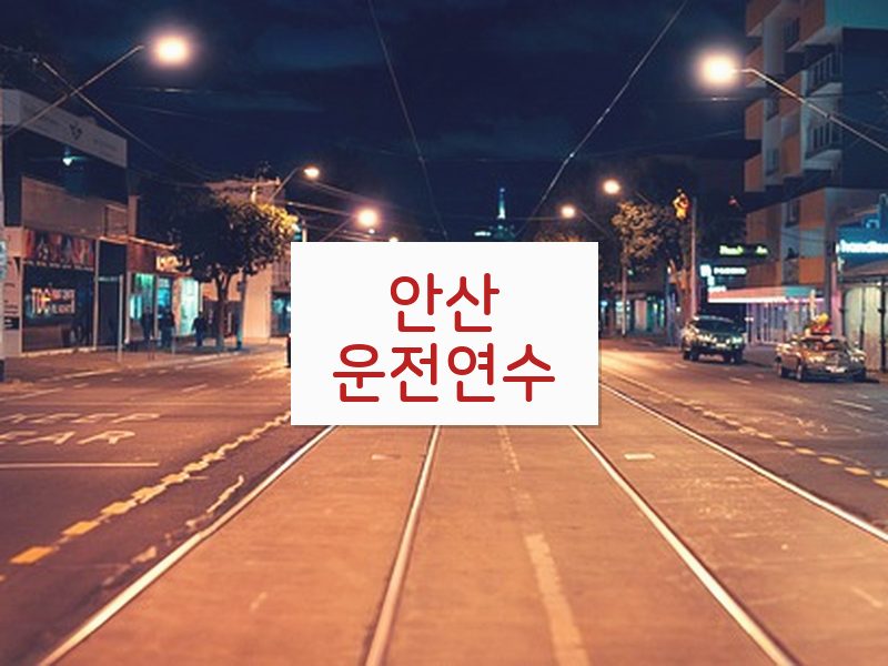안산운전연수 후기