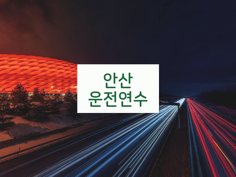 안산운전연수 후기
