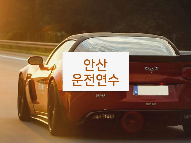 안산운전연수 후기
