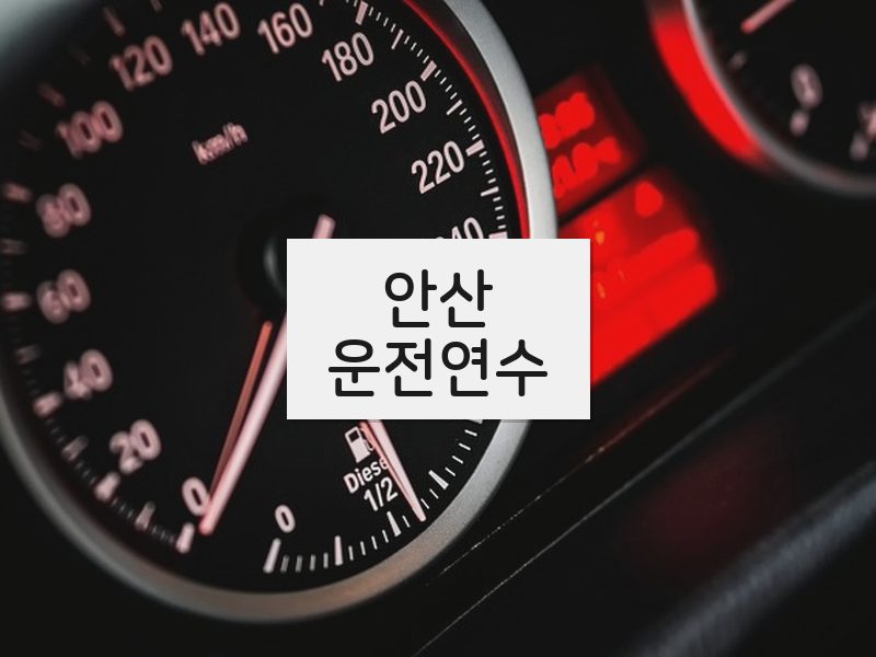 안산운전연수 후기