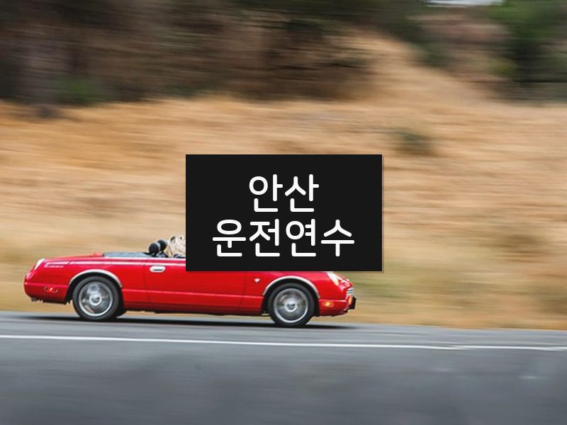 안산운전연수 후기