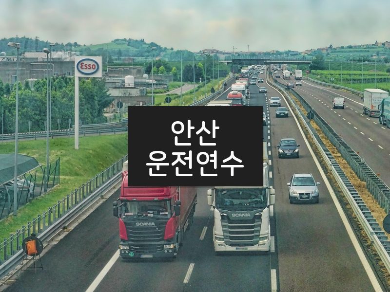 안산운전연수 후기