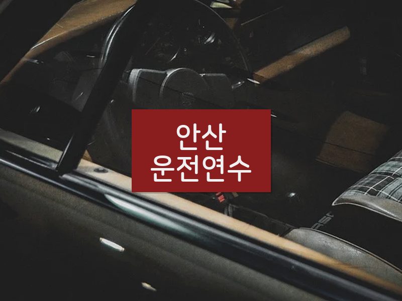 안산운전연수 후기