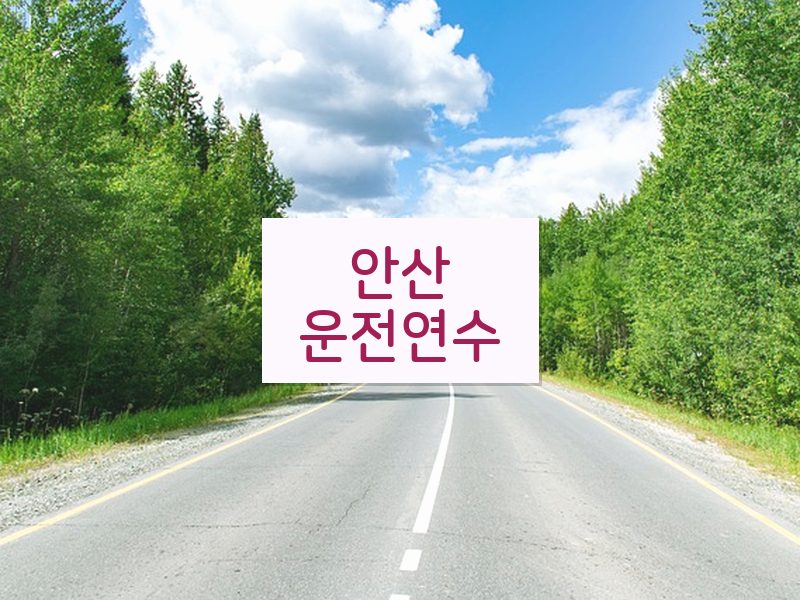 안산운전연수 후기
