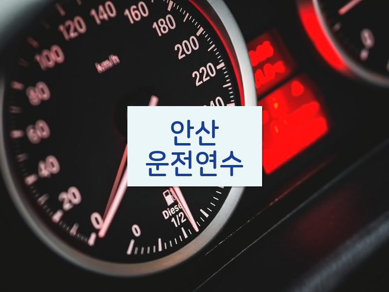안산운전연수 후기