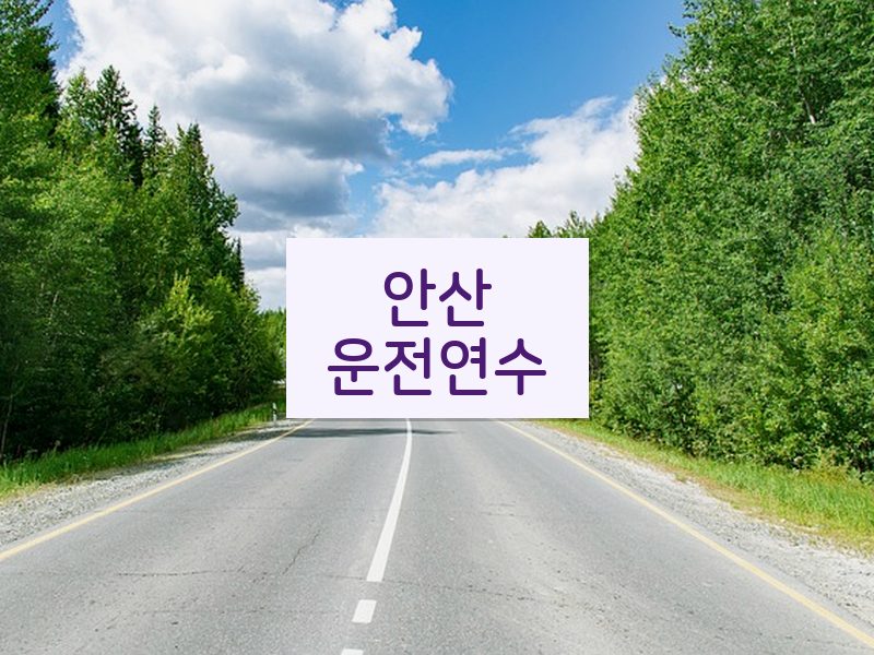 안산운전연수 후기
