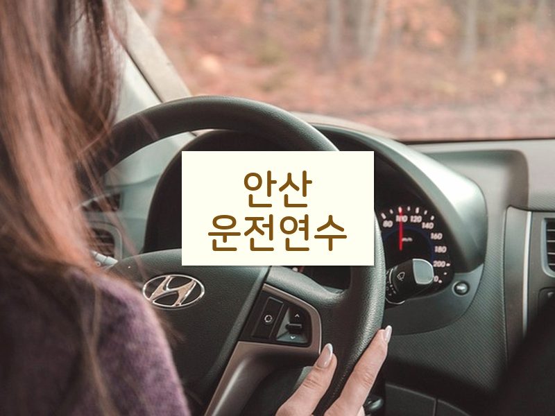안산운전연수 후기
