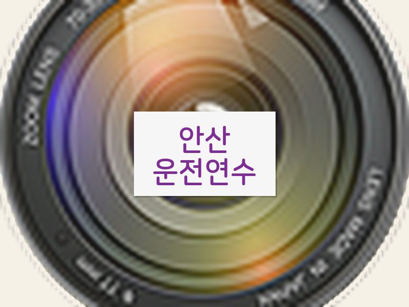 안산운전연수 후기