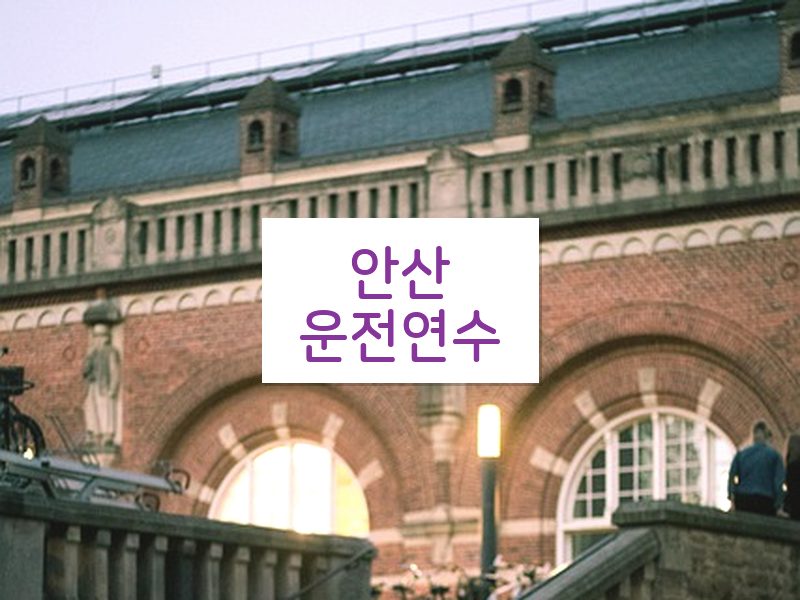 안산운전연수 후기