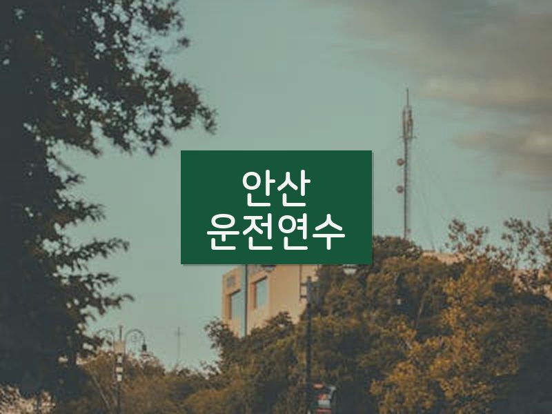 안산운전연수 후기