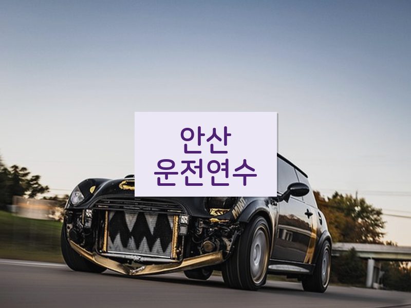 안산운전연수 후기