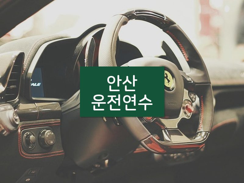 안산운전연수 후기