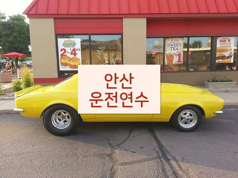 안산운전연수 후기