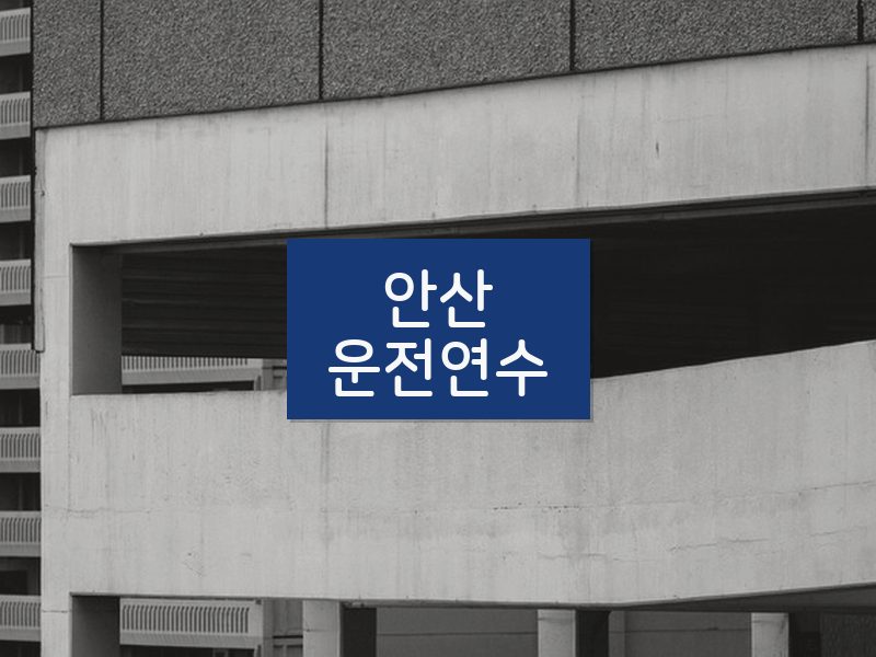 안산운전연수 후기
