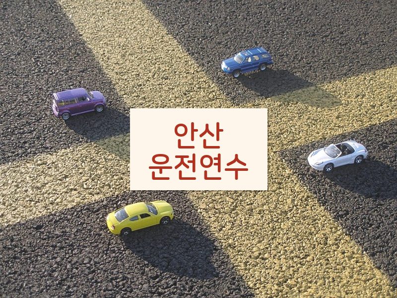 안산운전연수 후기