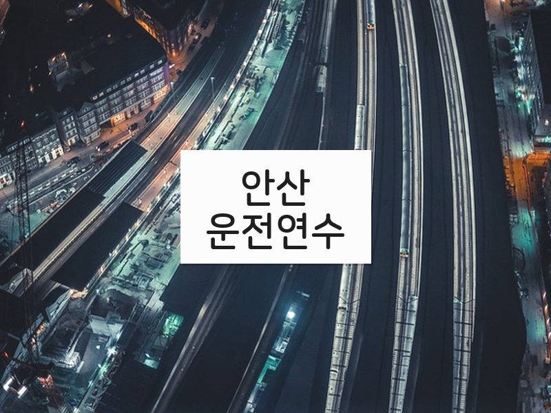 안산운전연수 후기