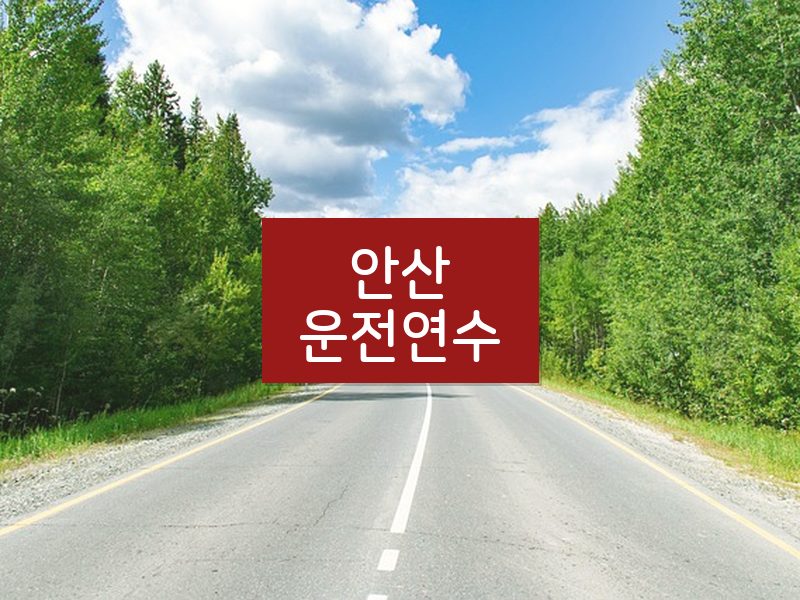 안산운전연수 후기