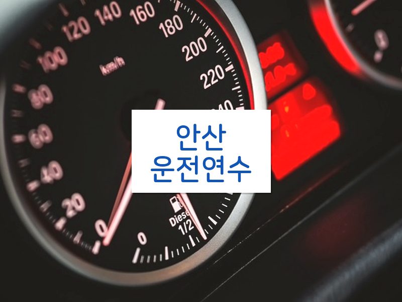 안산운전연수 후기