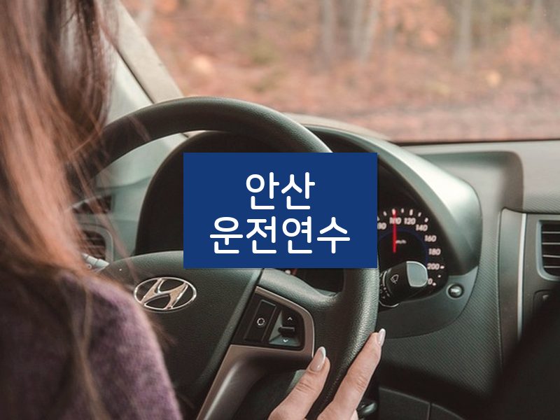 안산운전연수 후기