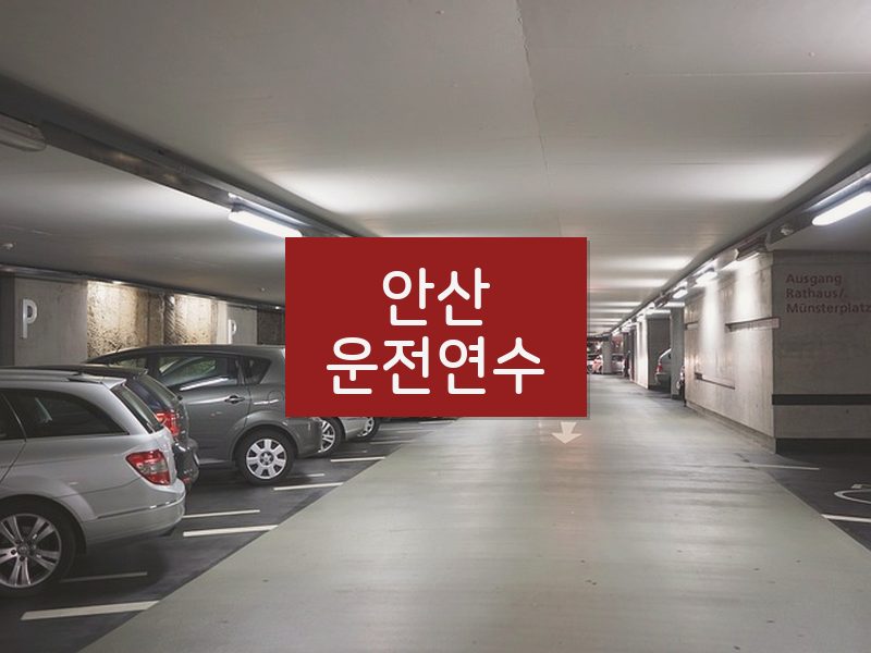 안산운전연수 후기