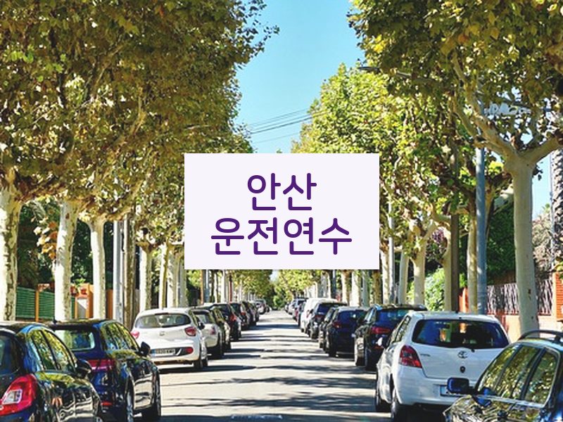 안산운전연수 후기
