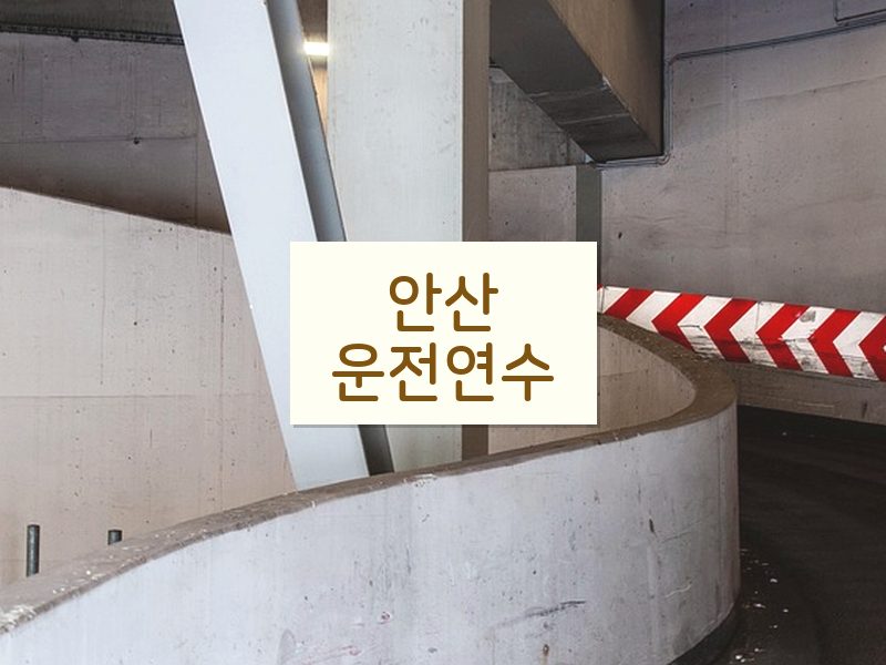 안산운전연수 후기