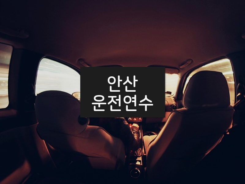 안산운전연수 후기