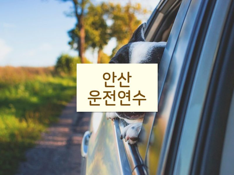 안산운전연수 후기