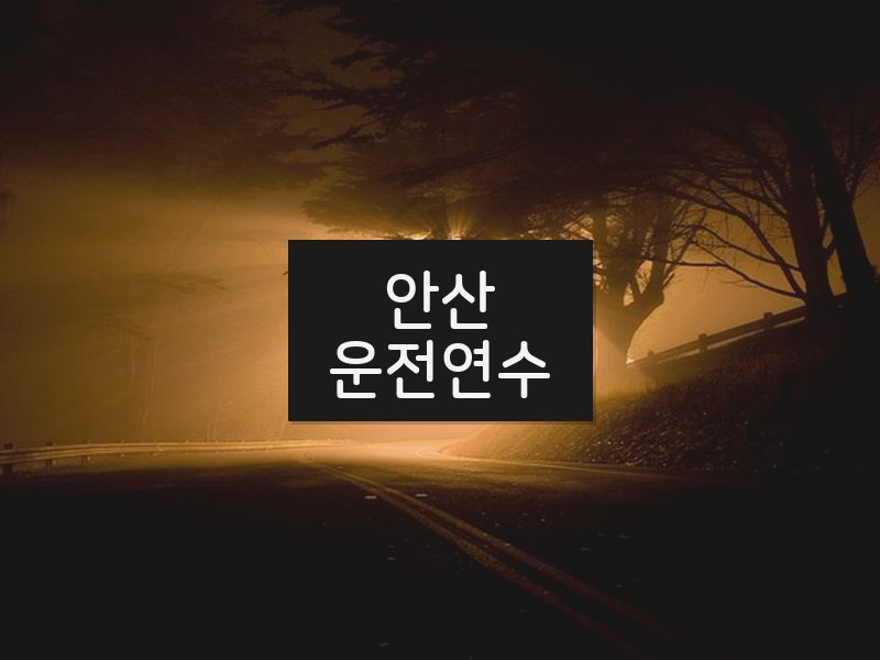 안산운전연수 후기