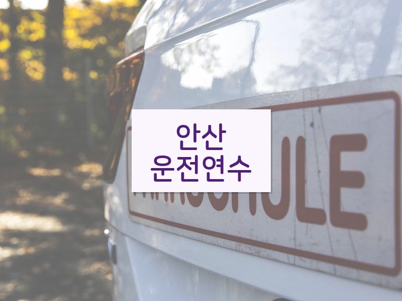 안산운전연수 후기