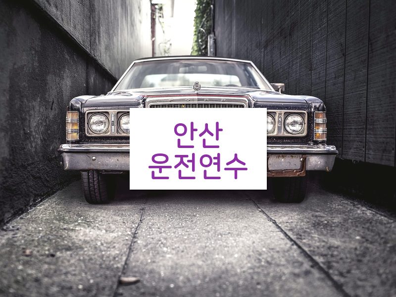 안산운전연수 후기