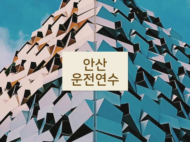 안산운전연수 후기