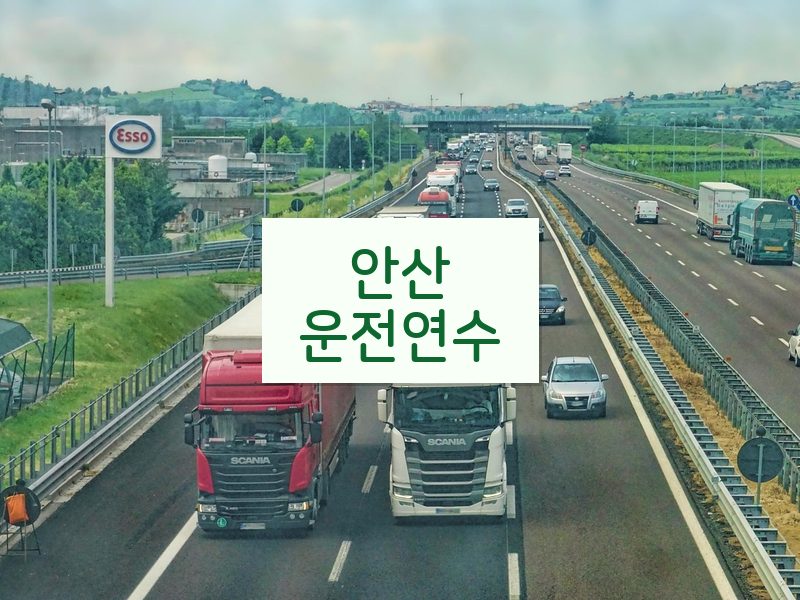 안산운전연수 후기